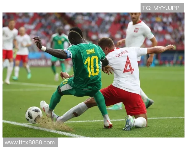 波兰与塞内加尔亚盘对比分析及投注建议探讨